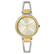 Clyda - Steel &amp;amp; Gold Analog Watch